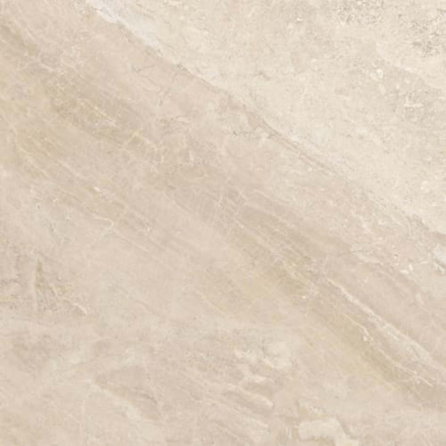 Impero Reale in Honed 24x24 Natural Stone