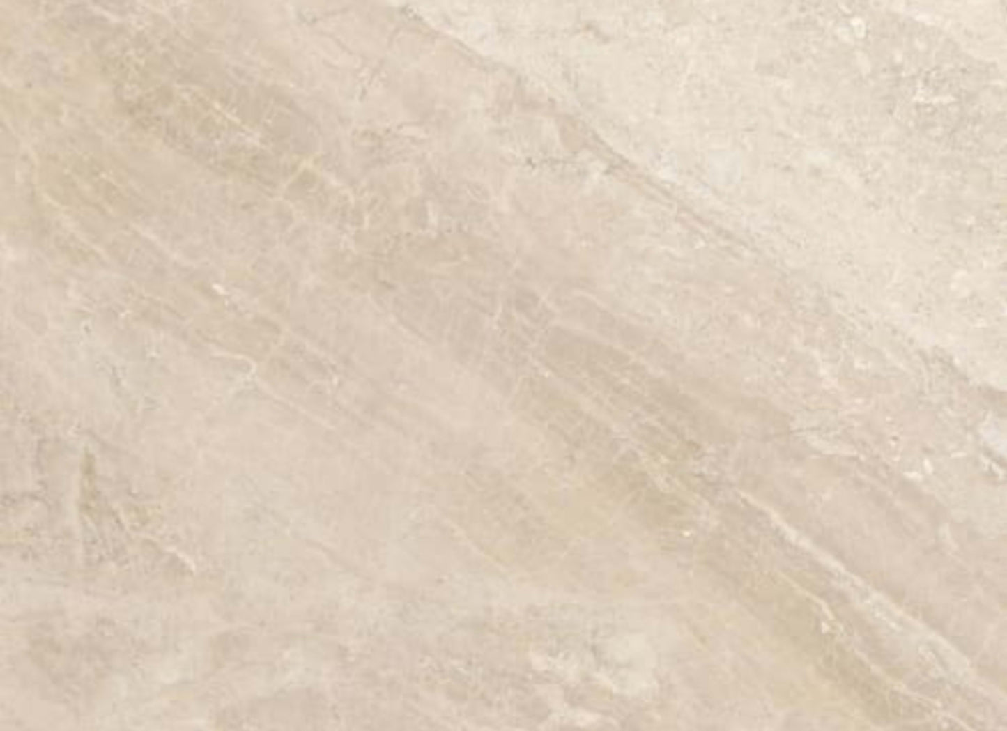 Impero Reale in Honed 24x24
