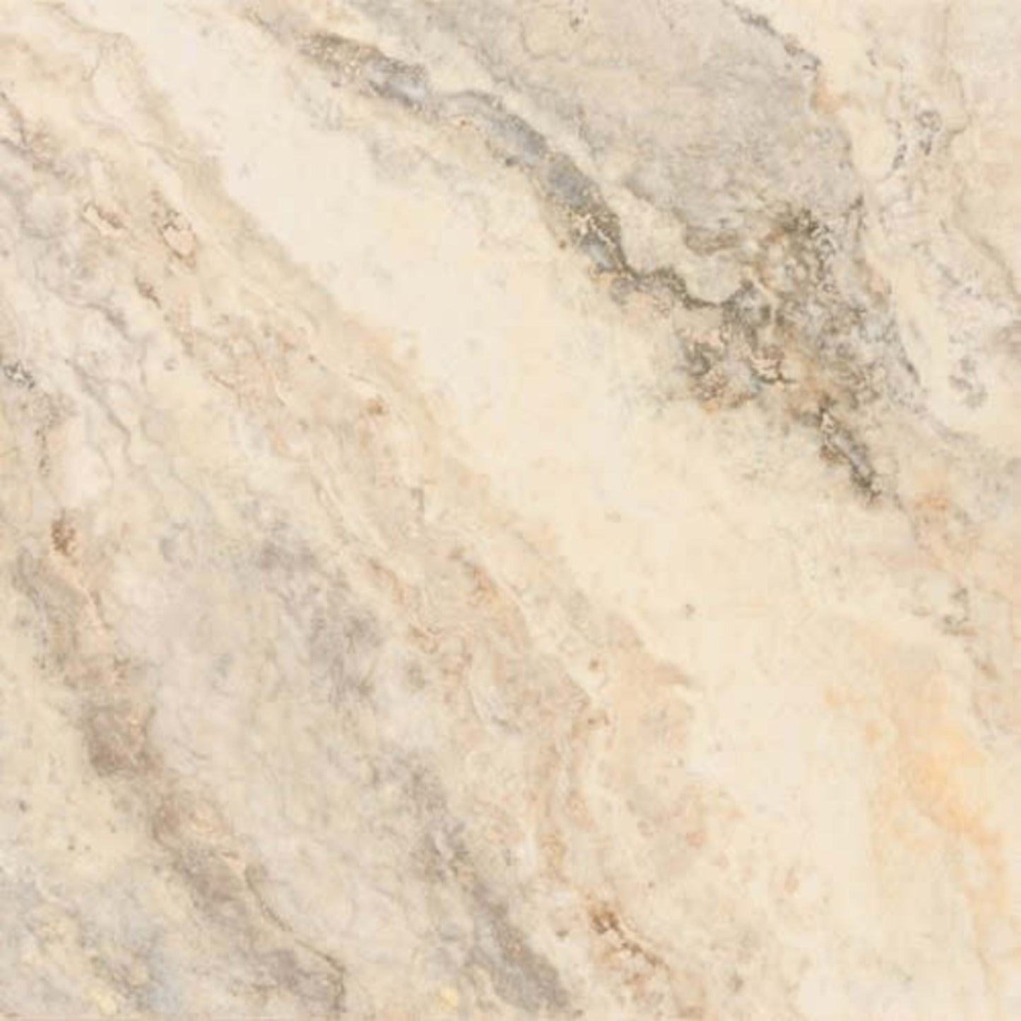 Picasso in Filled & Honed 12x24 Natural Stone