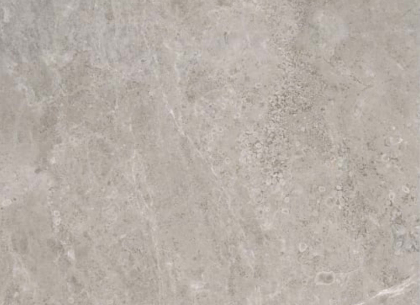 Ritz Gray in Honed 12x12