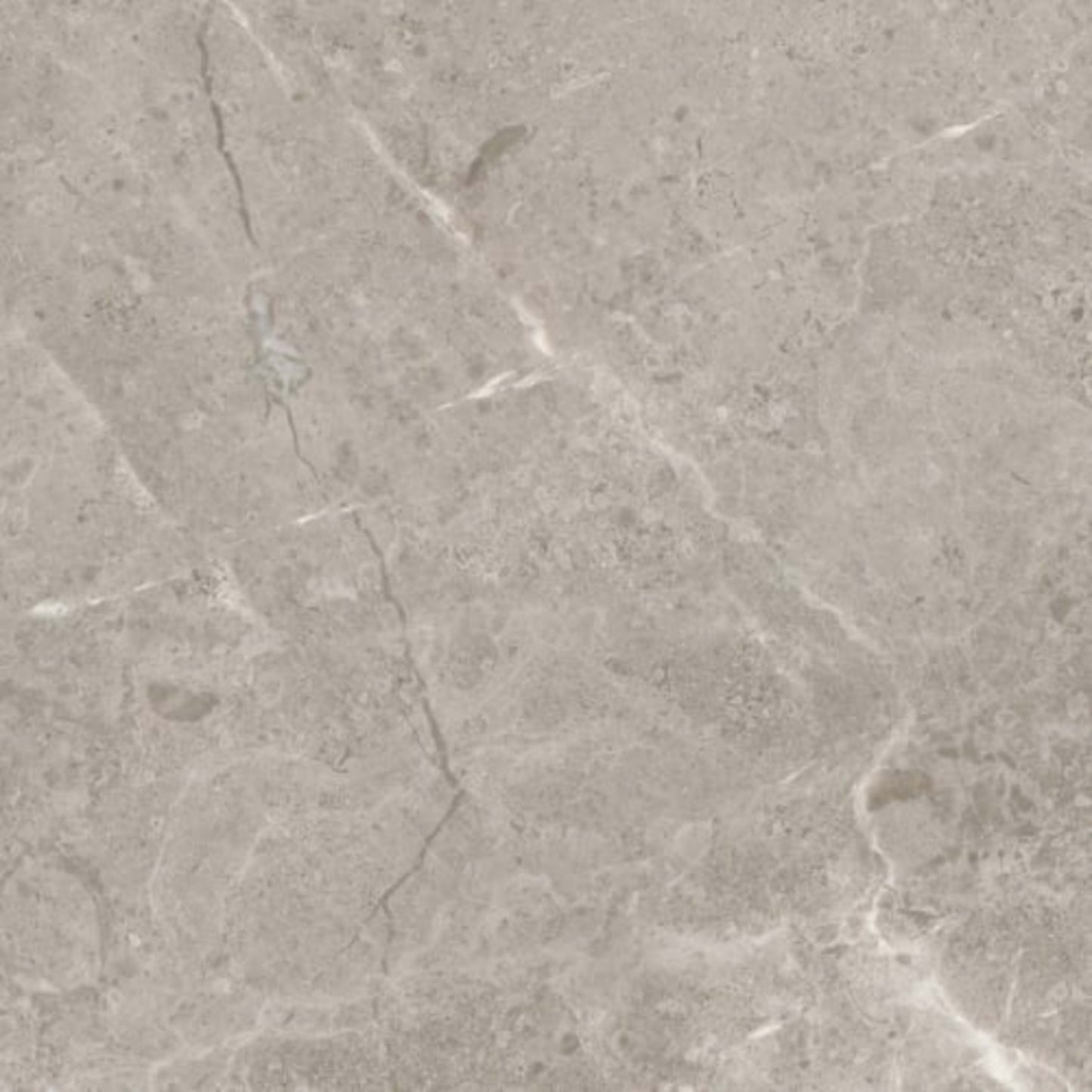 Ritz Gray in Polished 12x24 Natural Stone