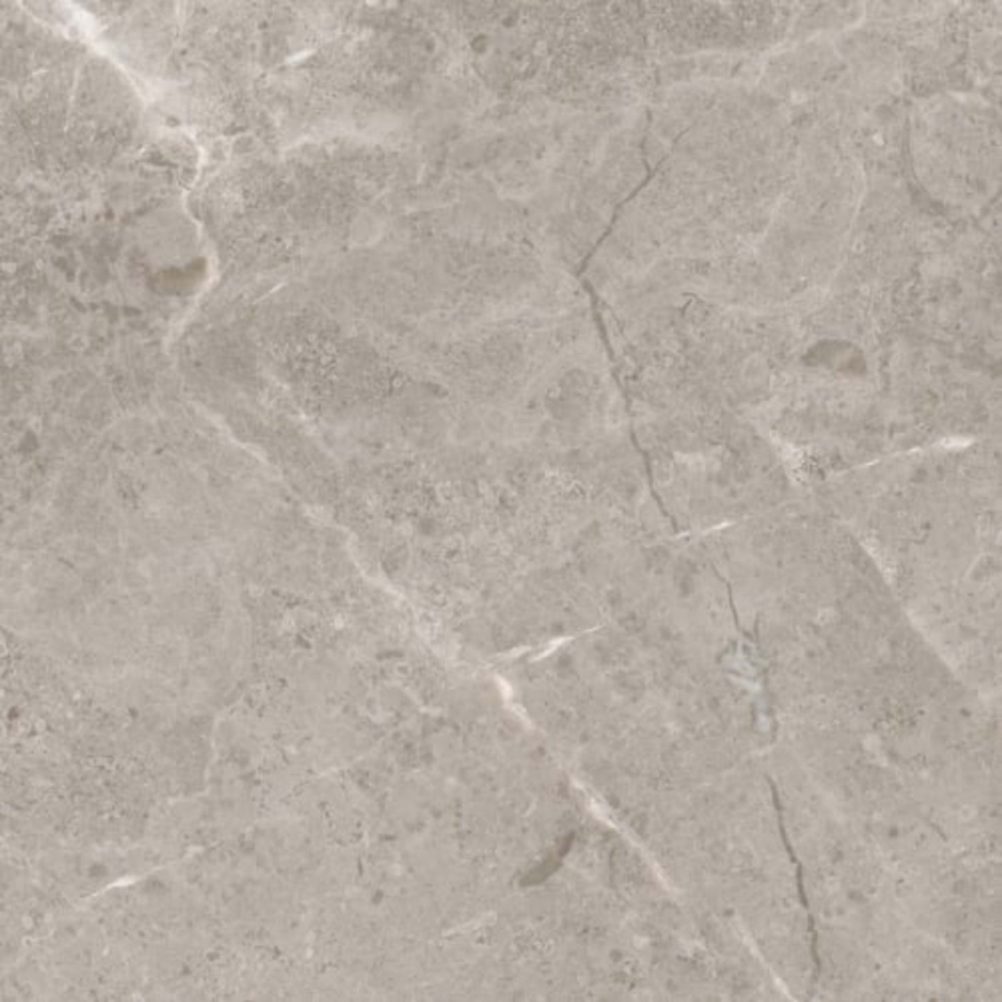 Ritz Gray in Honed 12x24 Natural Stone
