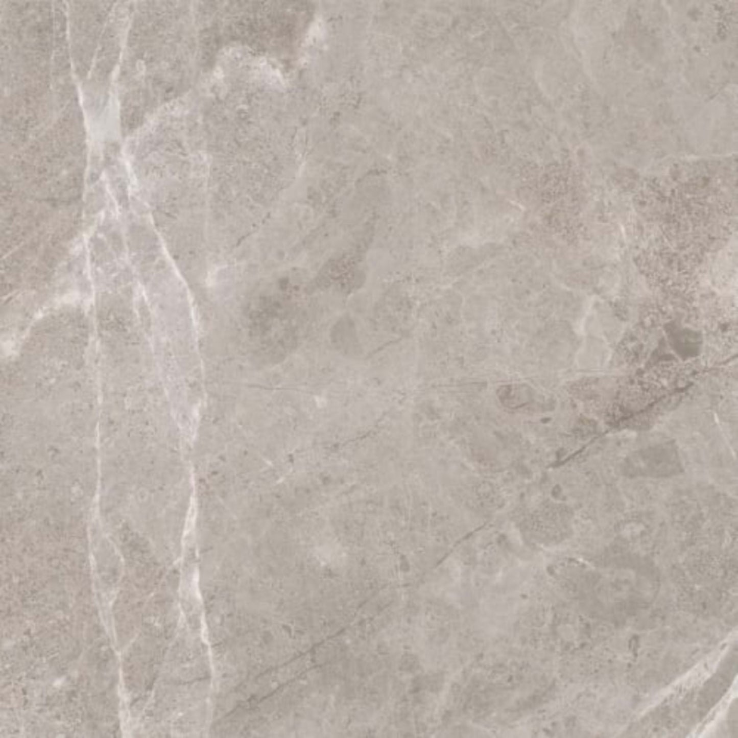Ritz Gray in Polished 18x36 Natural Stone
