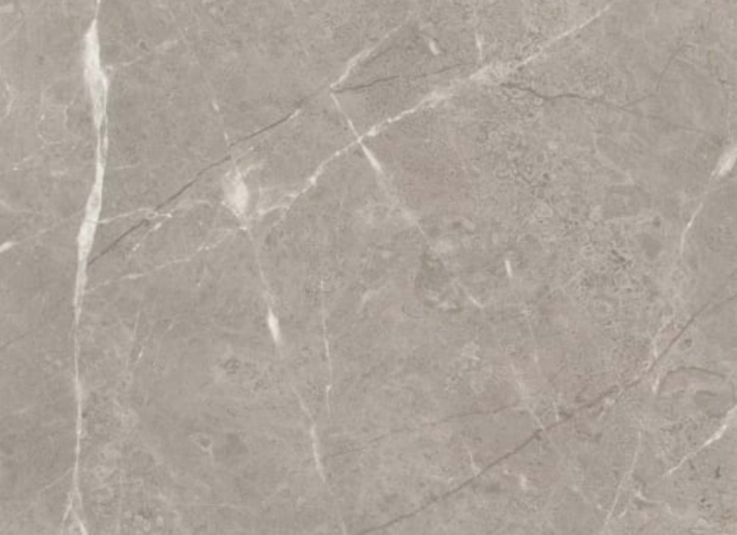 Ritz Gray in Polished 24x24