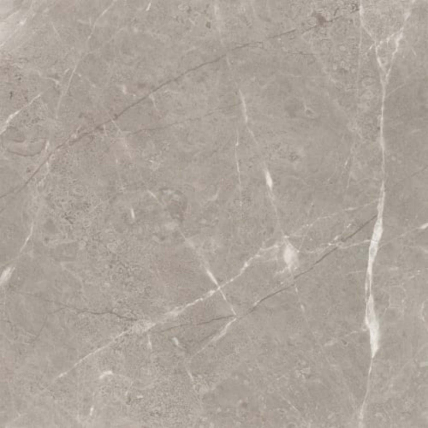 Ritz Gray in Honed 24x24 Natural Stone