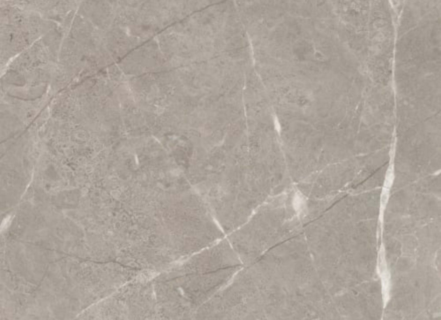 Ritz Gray in Honed 24x24