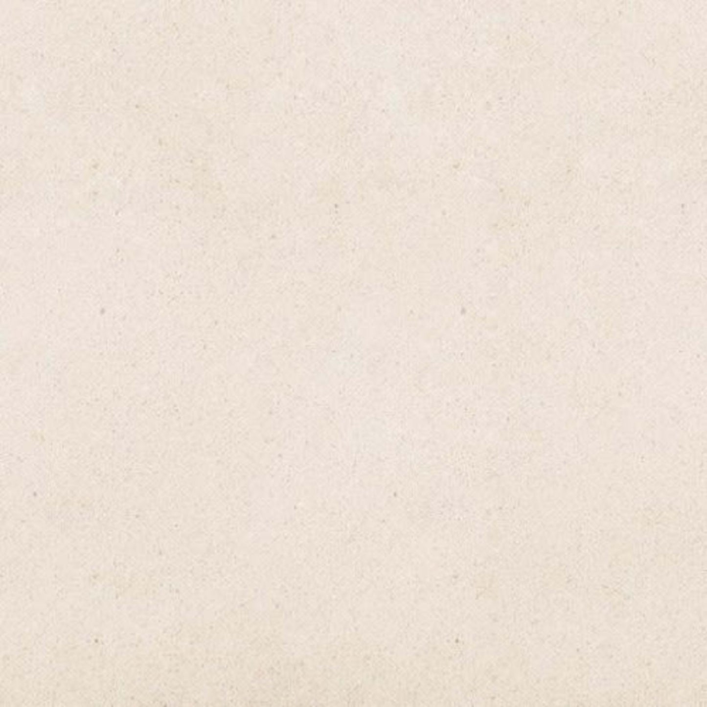 Serene Ivory in Honed 12x24 Natural Stone