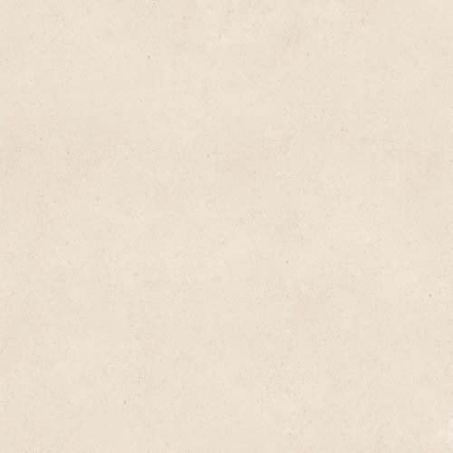 Serene Ivory in Polished 18x36 Natural Stone