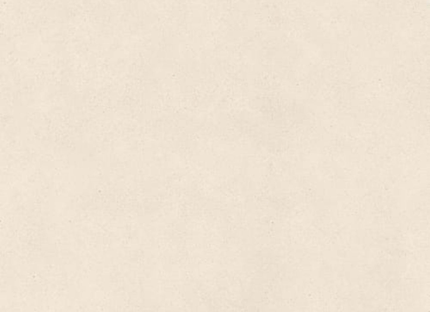 Serene Ivory in Honed 24x24