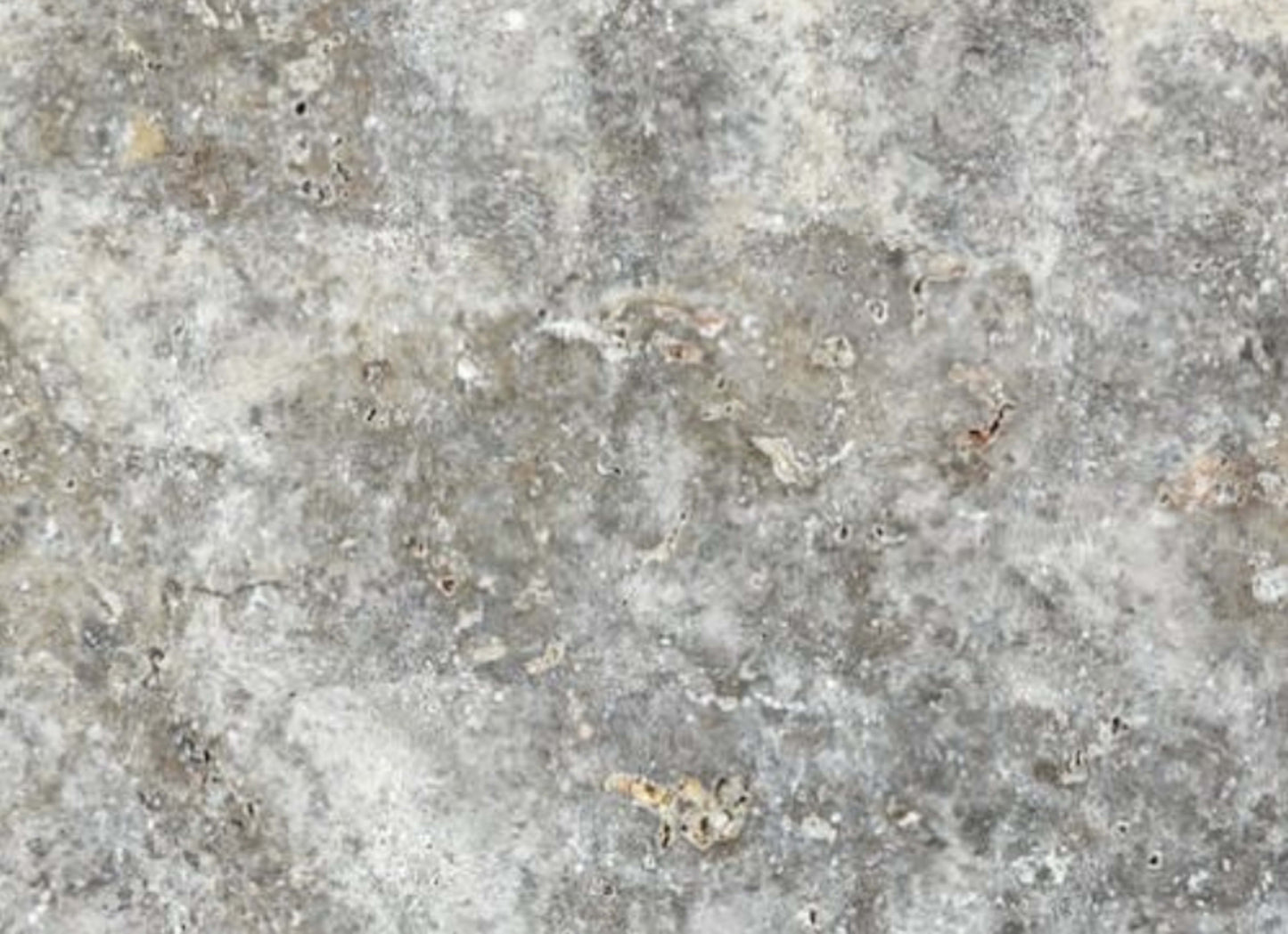 Silver Ash in Chiseled & Brushed 8x16