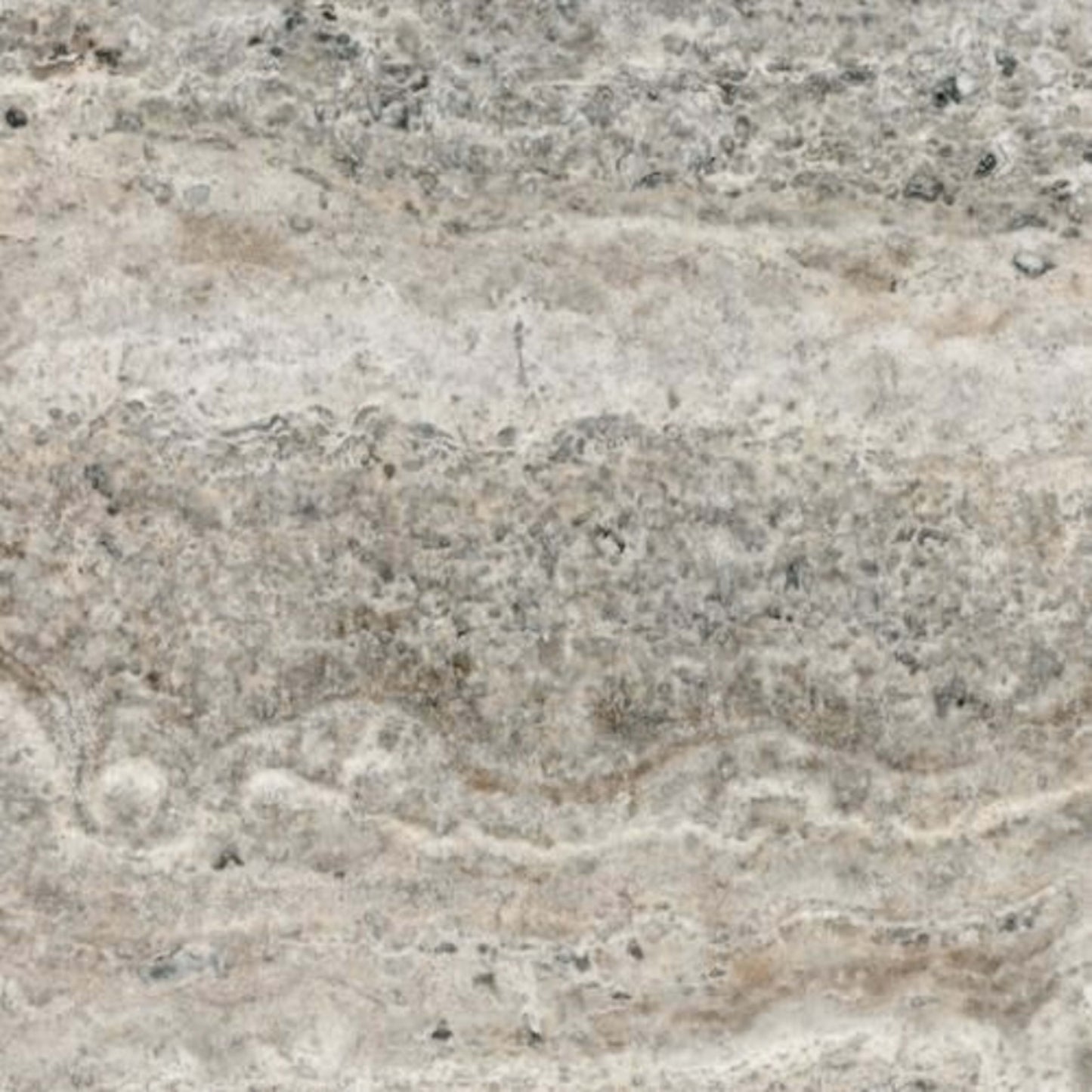 Silver Ash in Filled & Honed Veincut 12x24 Natural Stone