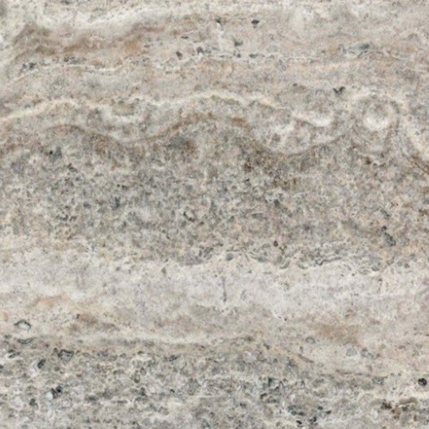 Silver Ash in Filled & Polished Veincut 12x24 Natural Stone
