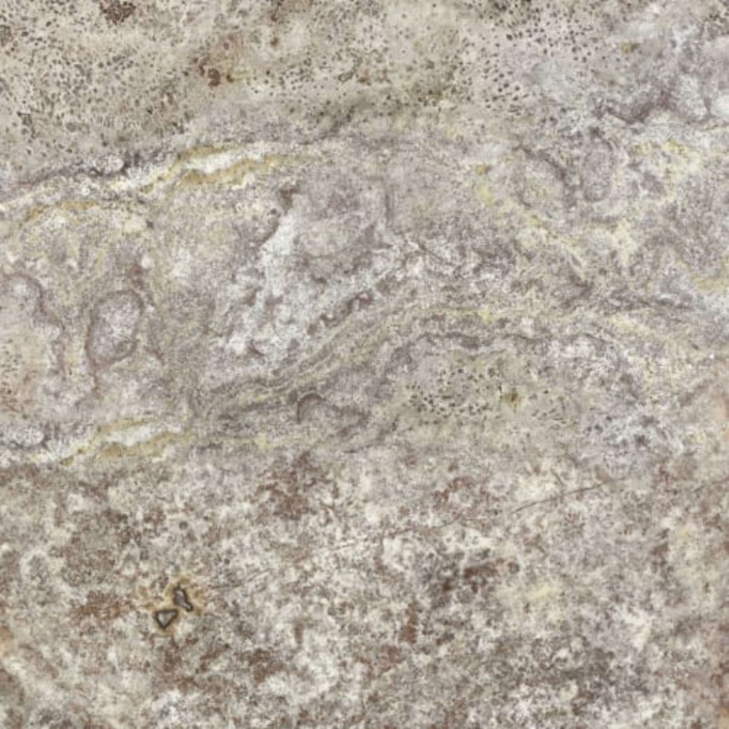 Silver Ash in Filled & Honed Crosscut 18x18 Natural Stone