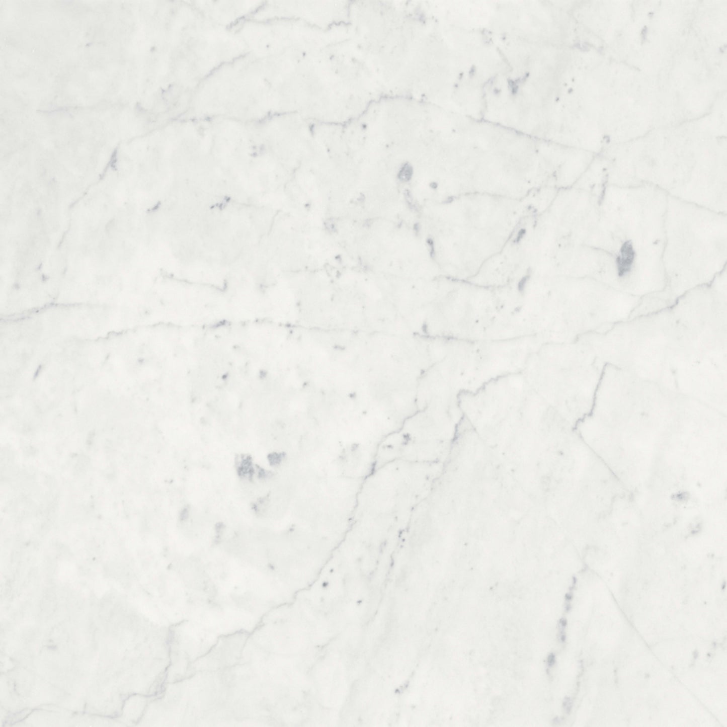 Eterna Bianco in Polished 18x36 Natural Stone