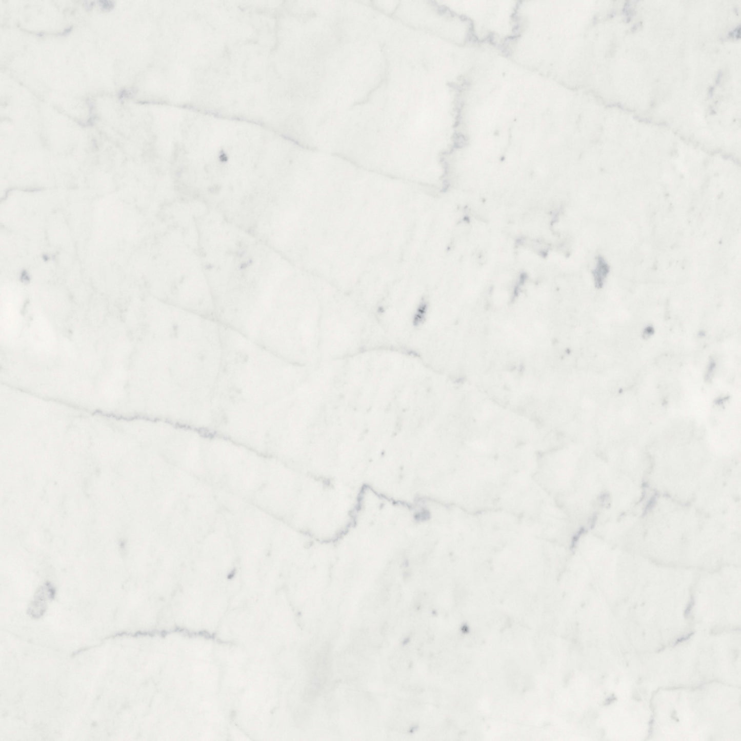 Eterna Bianco in Polished 12x24 Natural Stone