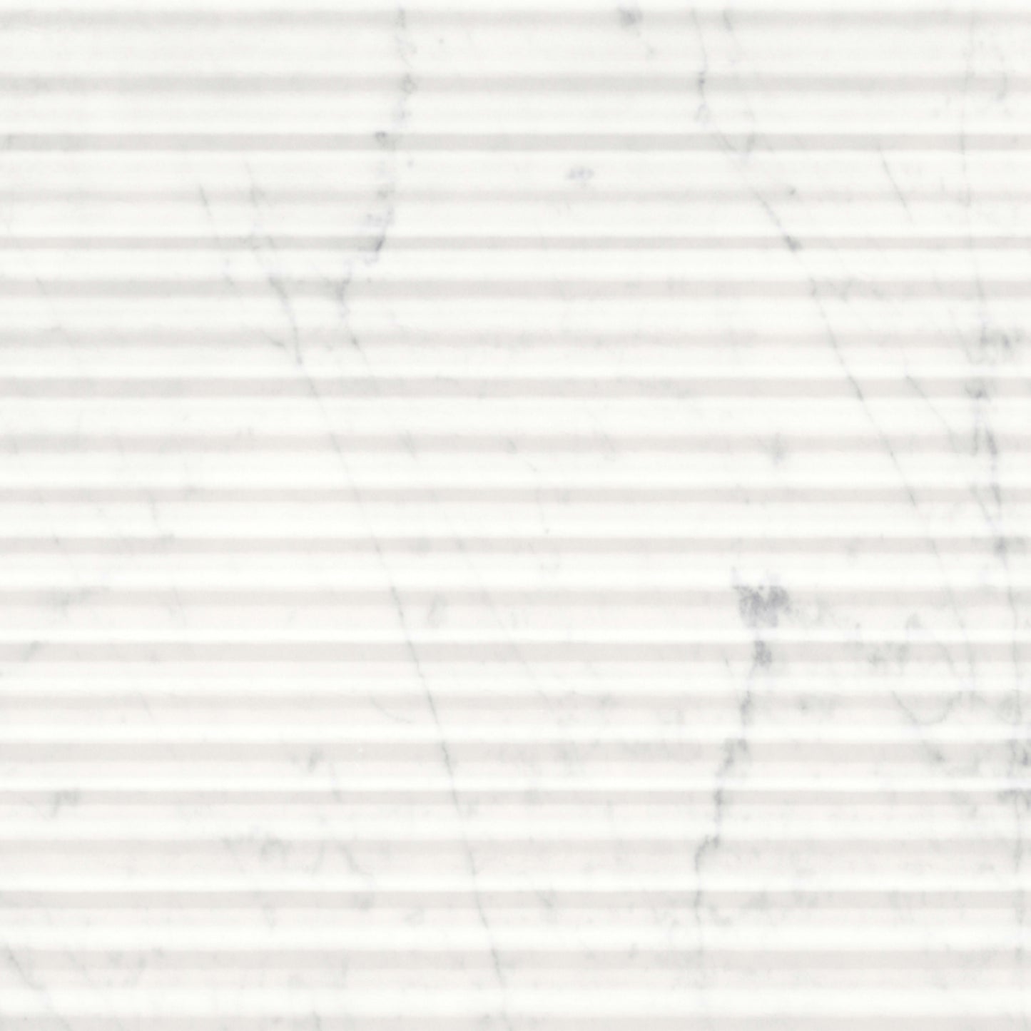 Eterna Bianco in Curva Honed 12x24 Natural Stone