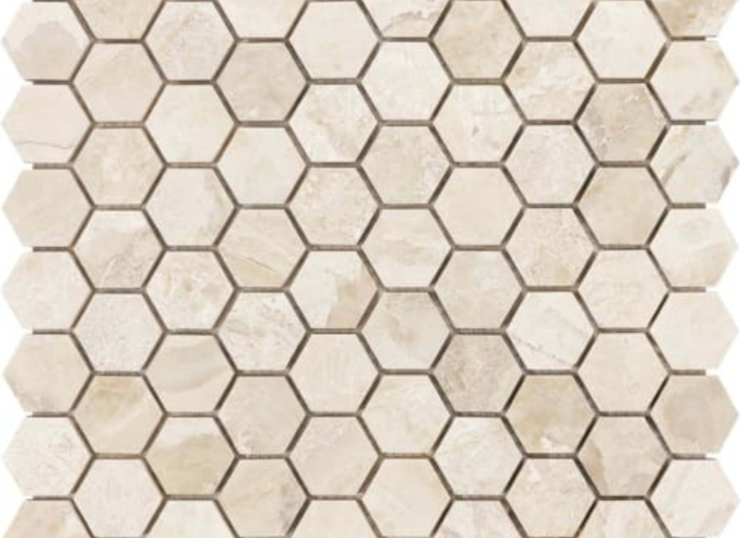 Impero Reale in 1.25 Hexagon Honed