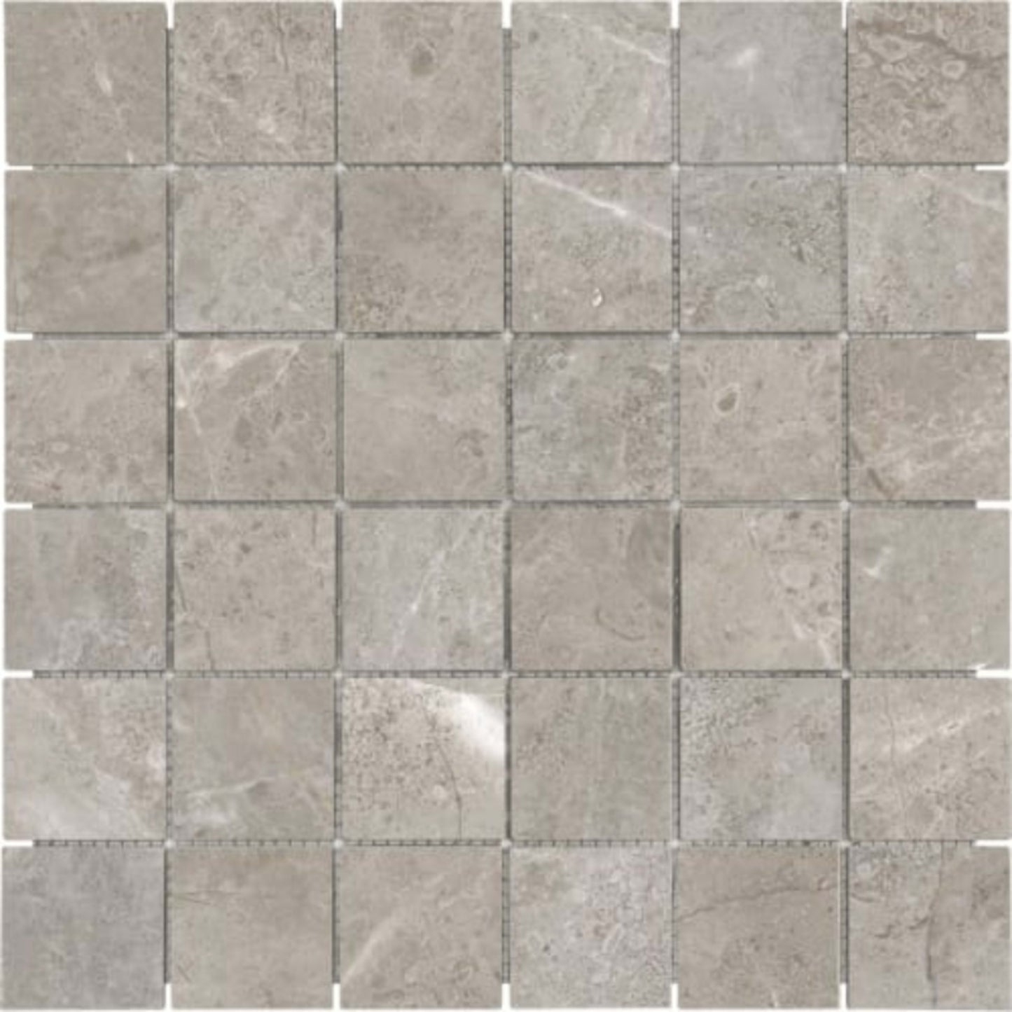 Ritz Gray in 2x2 In Polished Natural Stone