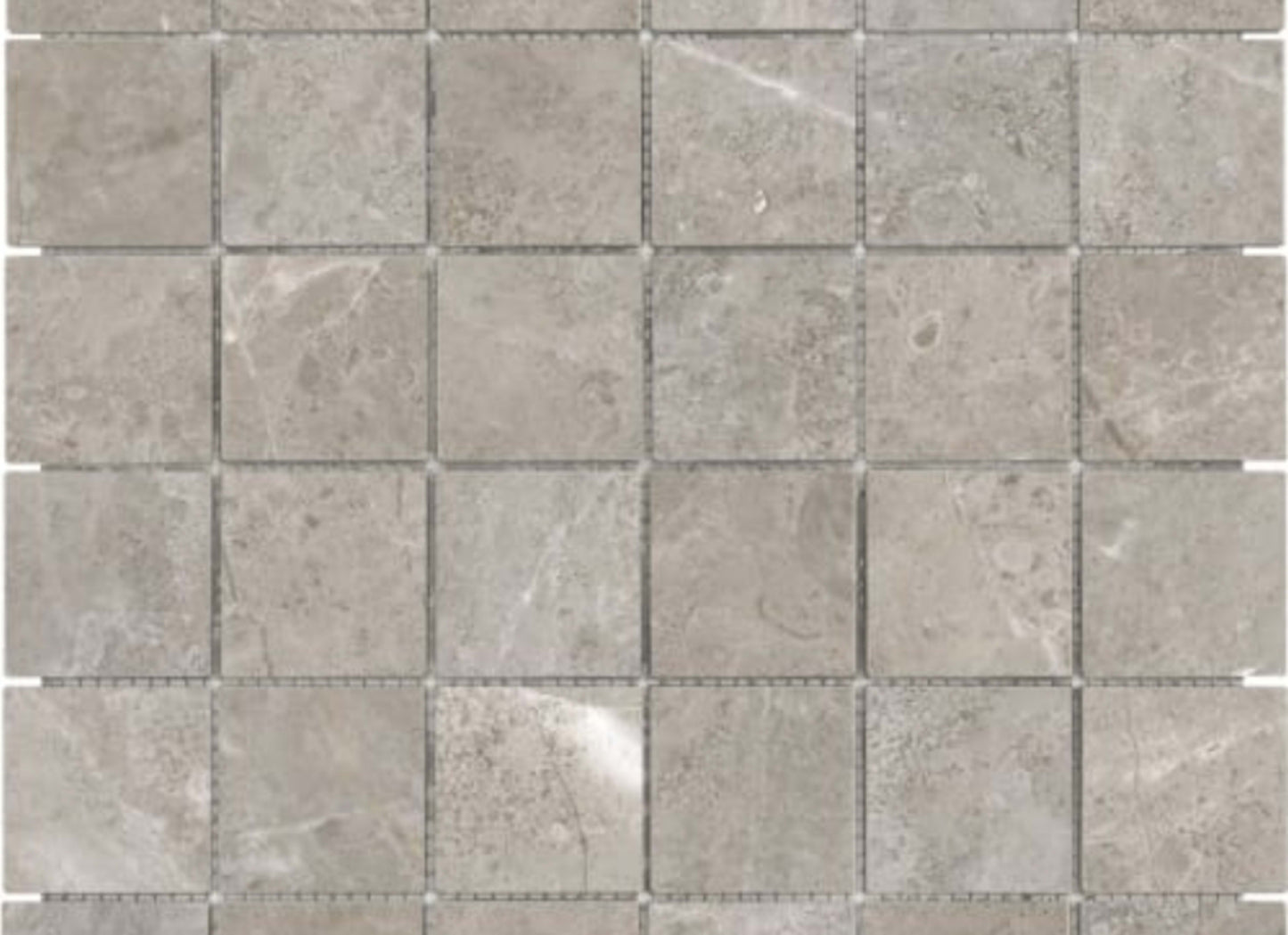 Ritz Gray in 2x2 In Polished