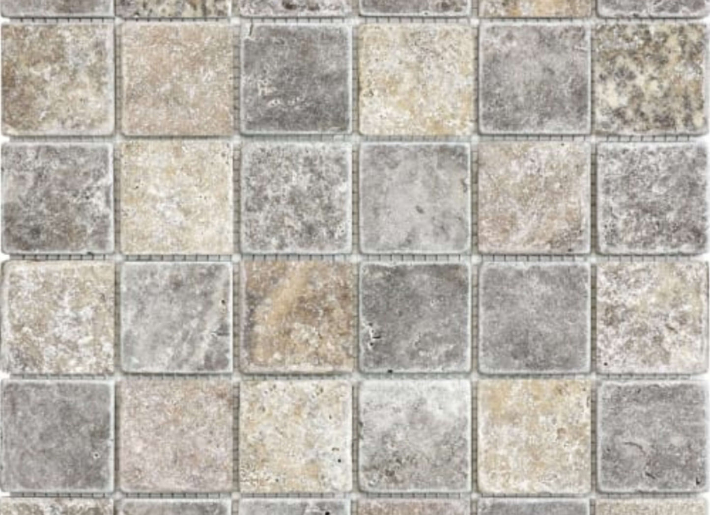 Silver Ash in 2x2 In Tumbled