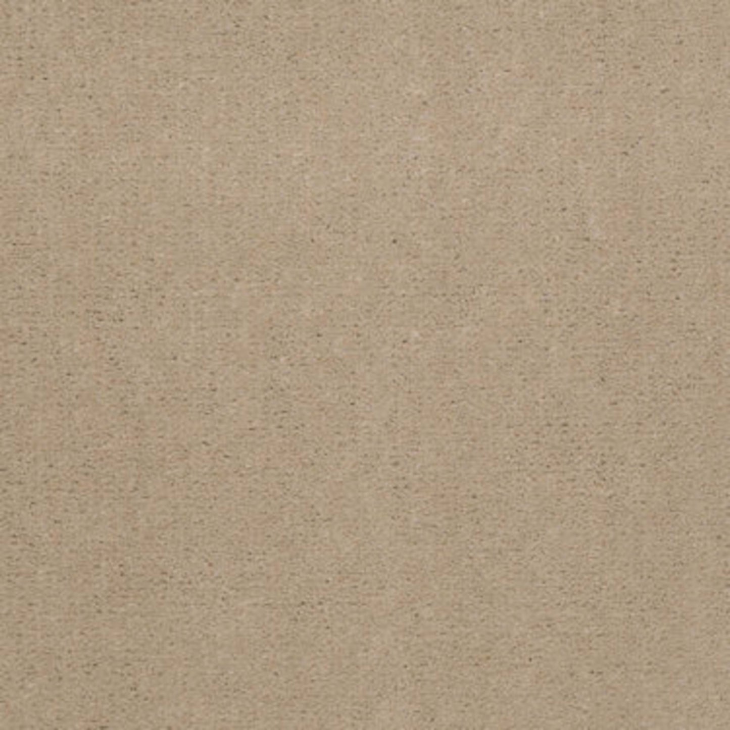Emphatic 30 in Blondwood Carpet