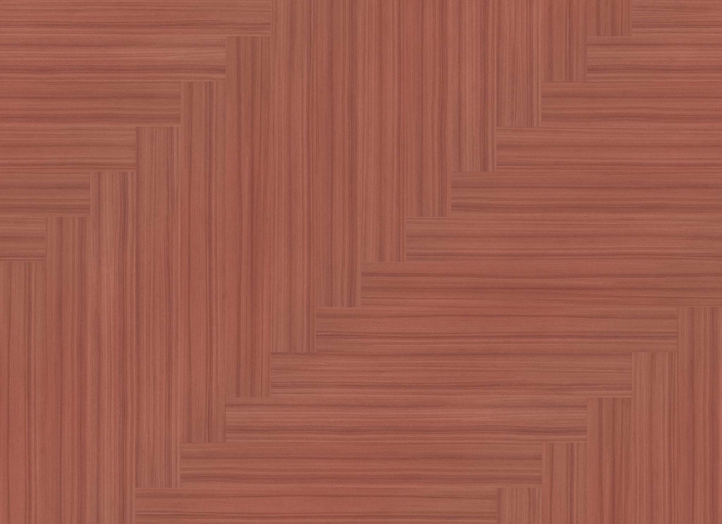 COLOR SCOPE 20 in Coral