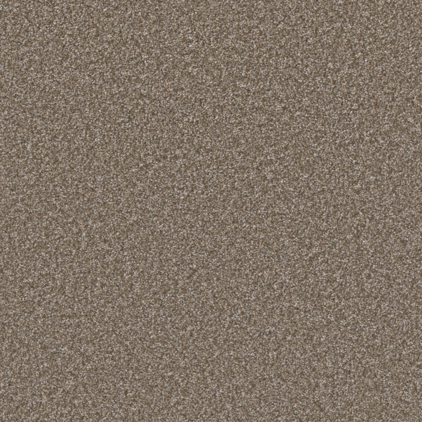 Excalibur I in Terestial Carpet