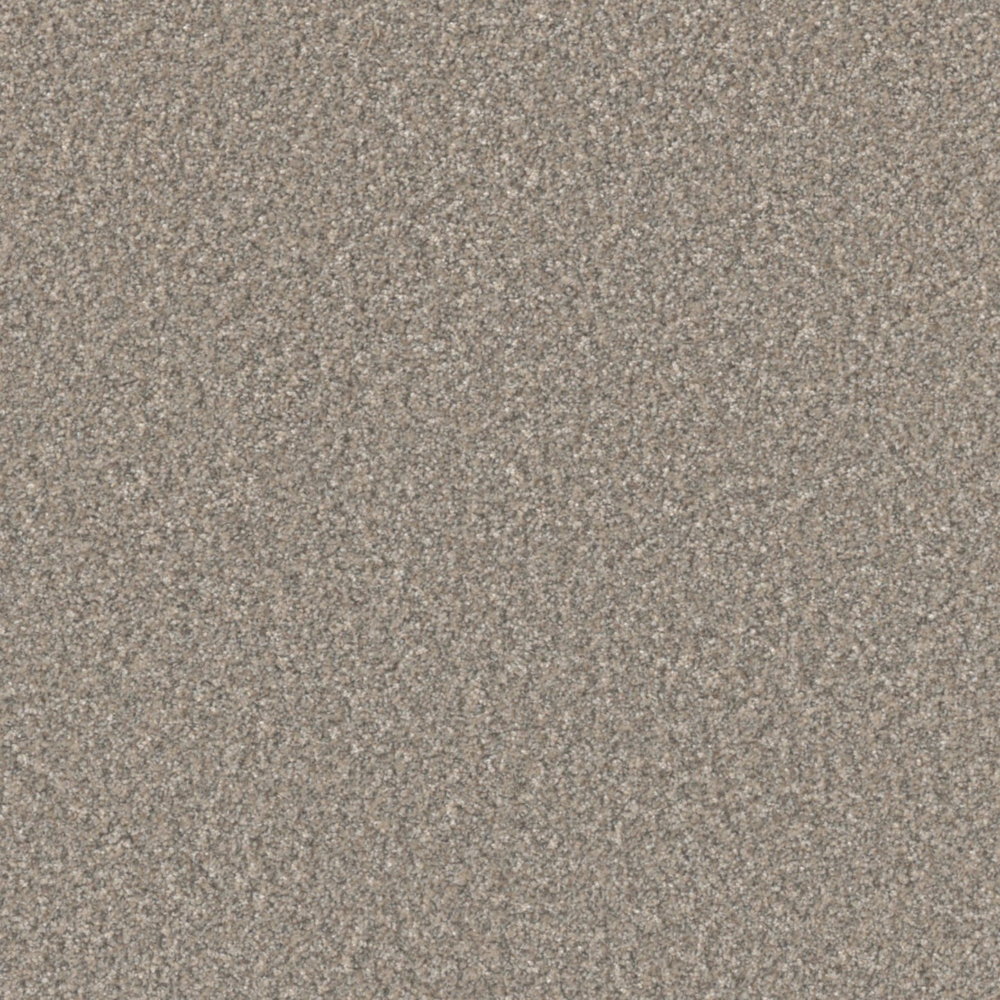 Excalibur III in Breezeway Carpet