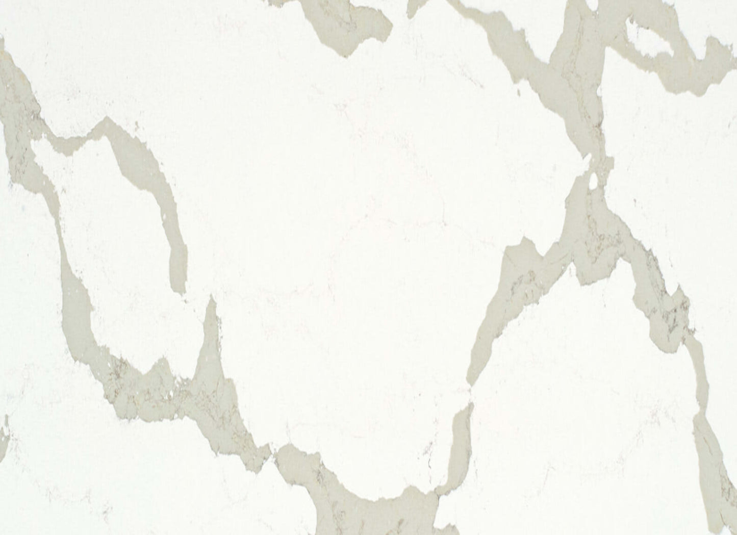 Quartz Countertop in Calacatta Maximus