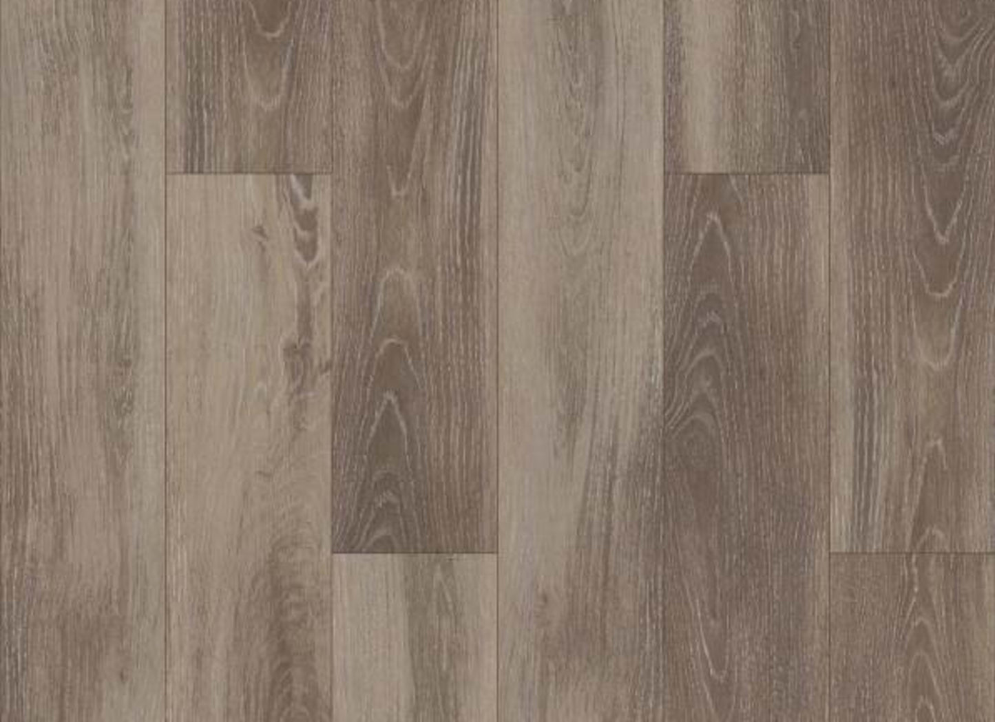 SABINE HILL PLUS in Delfino