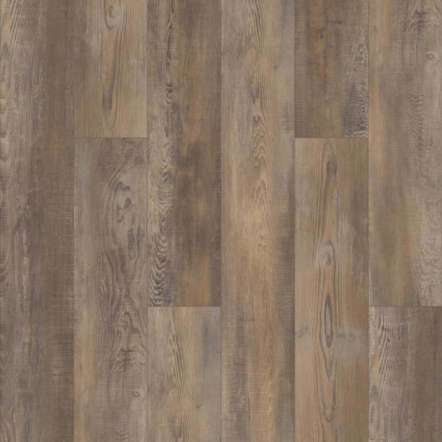 ANTICA HD PLUS in Saggio Luxury Vinyl