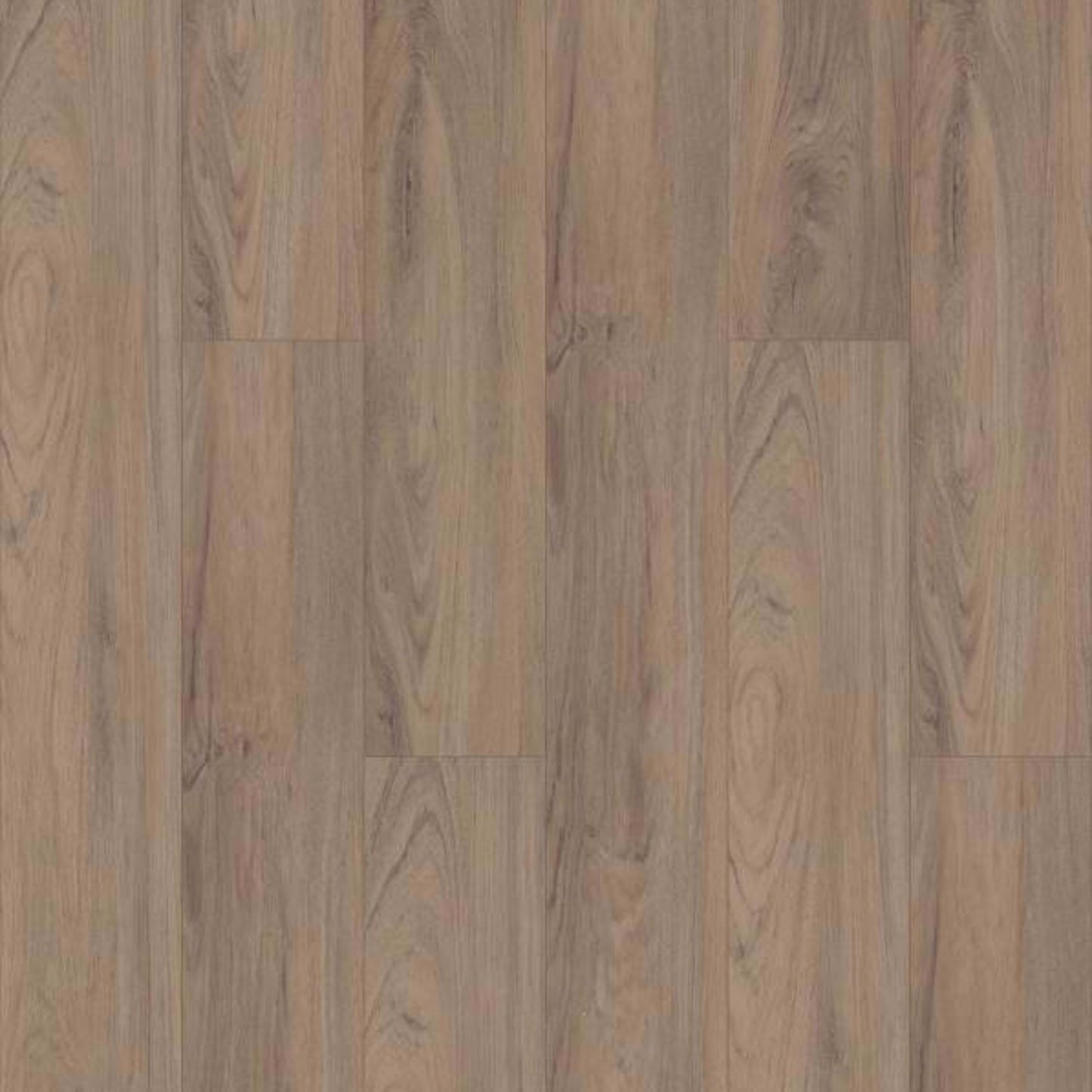 ANTICA HD PLUS in Fiano Luxury Vinyl