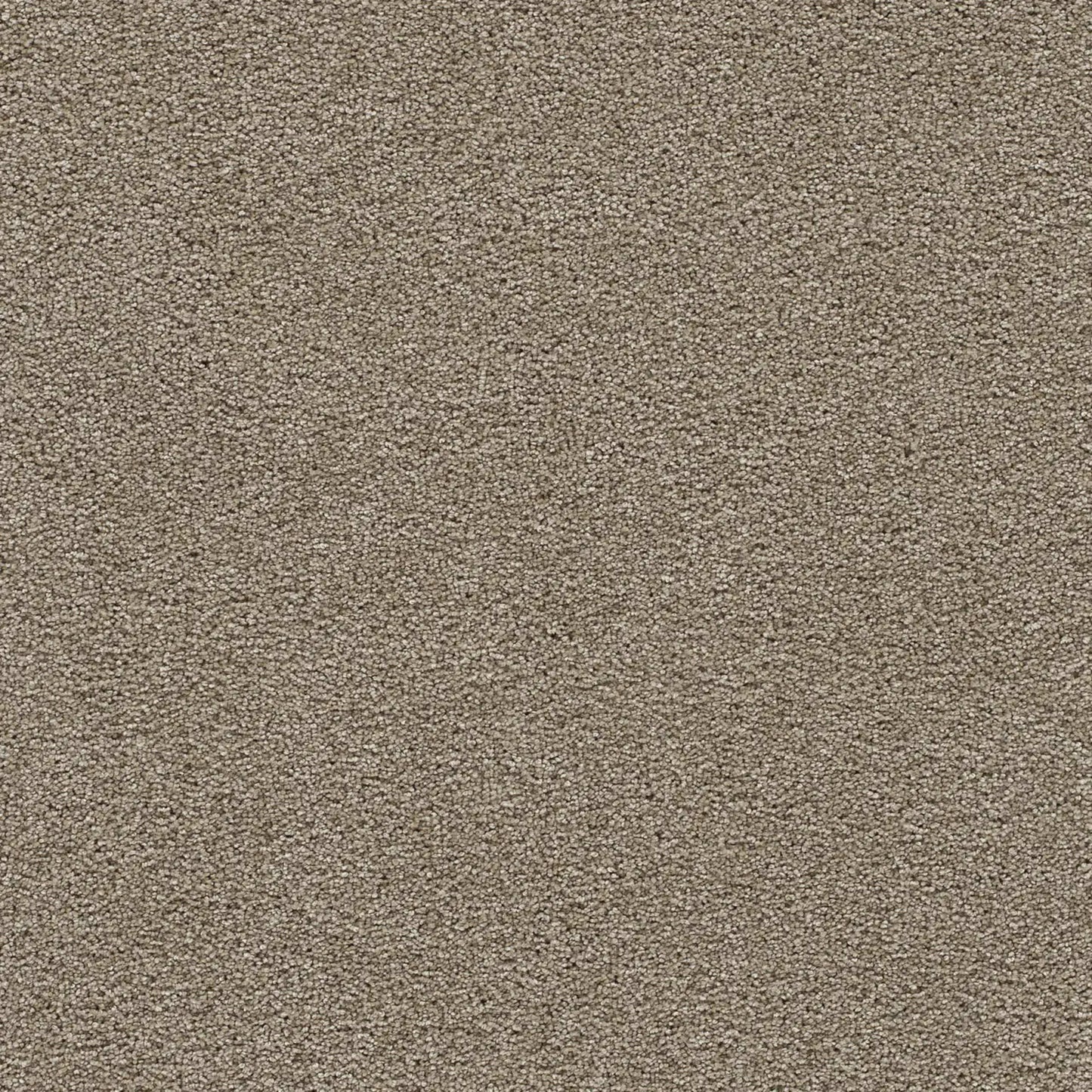 Clear Skies II in Warm Teak Carpet