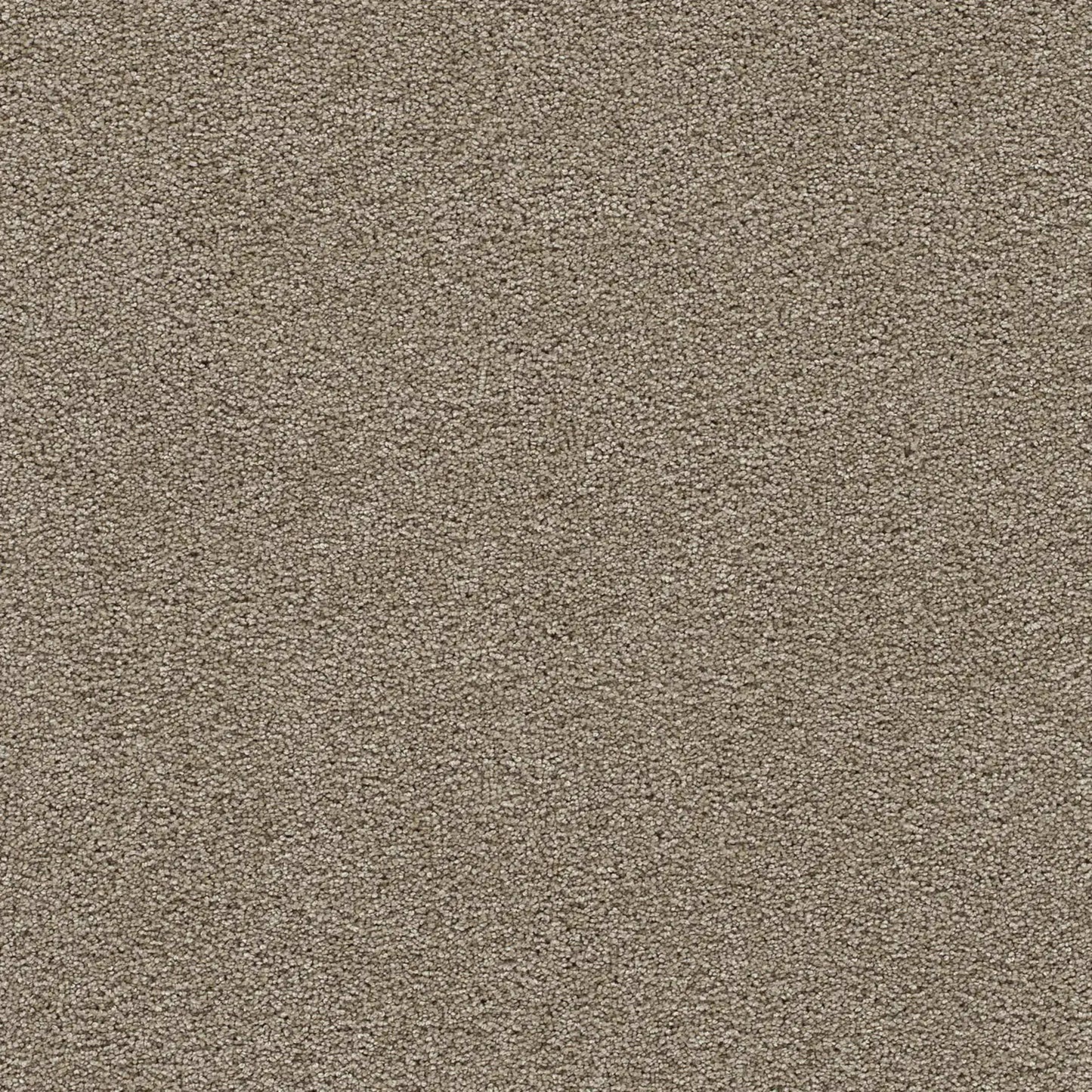 Clear Skies III in Warm Teak Carpet