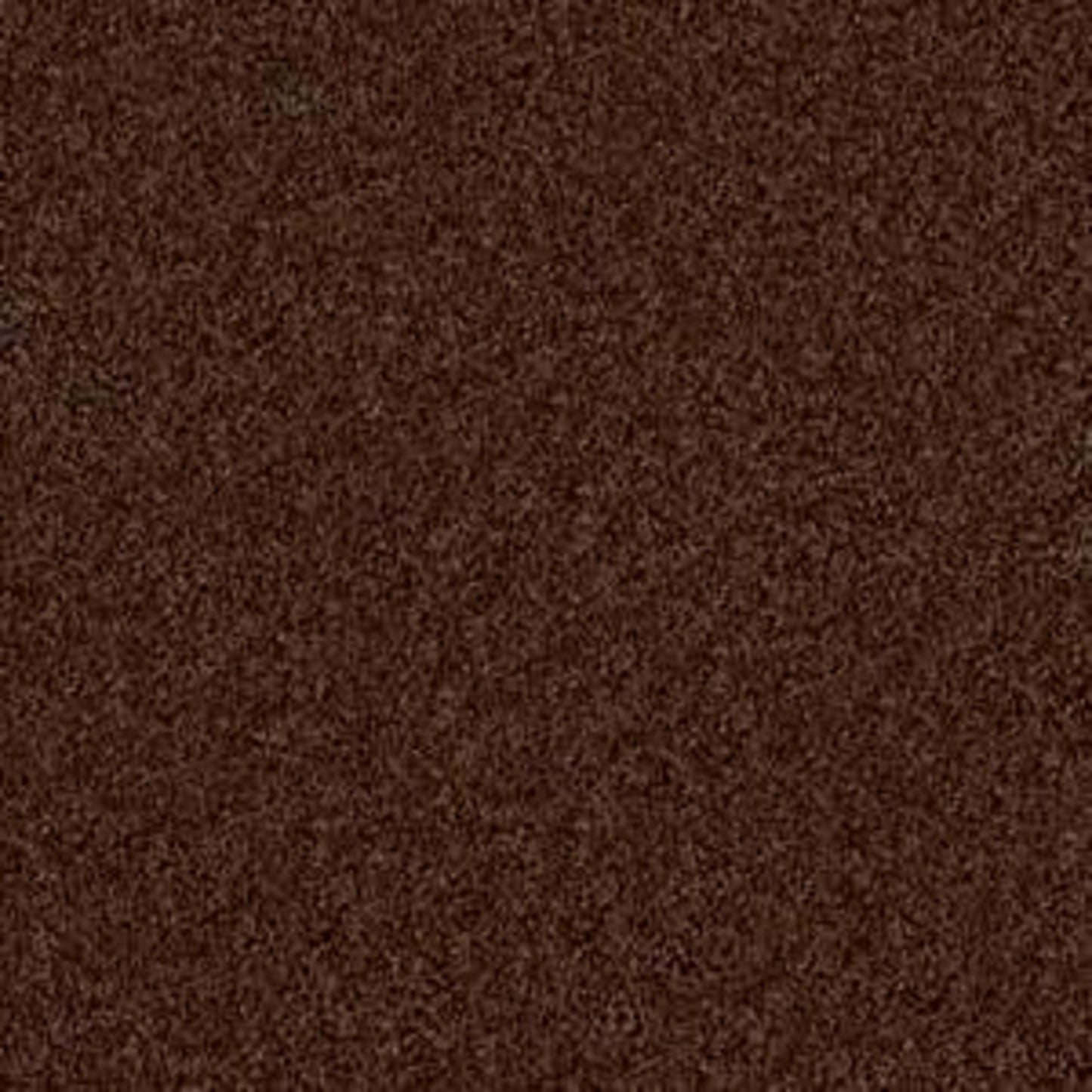 Woodsboro in Mocha Carpet