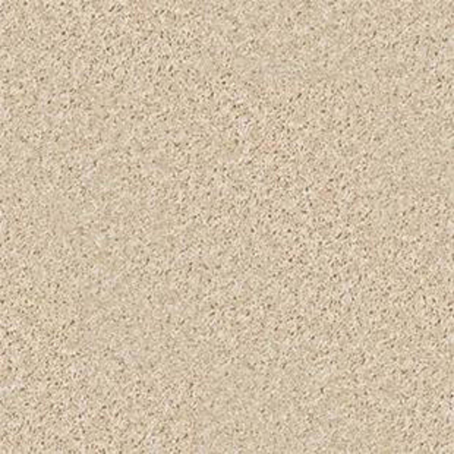 Colesville 12' in Rice Paper Carpet