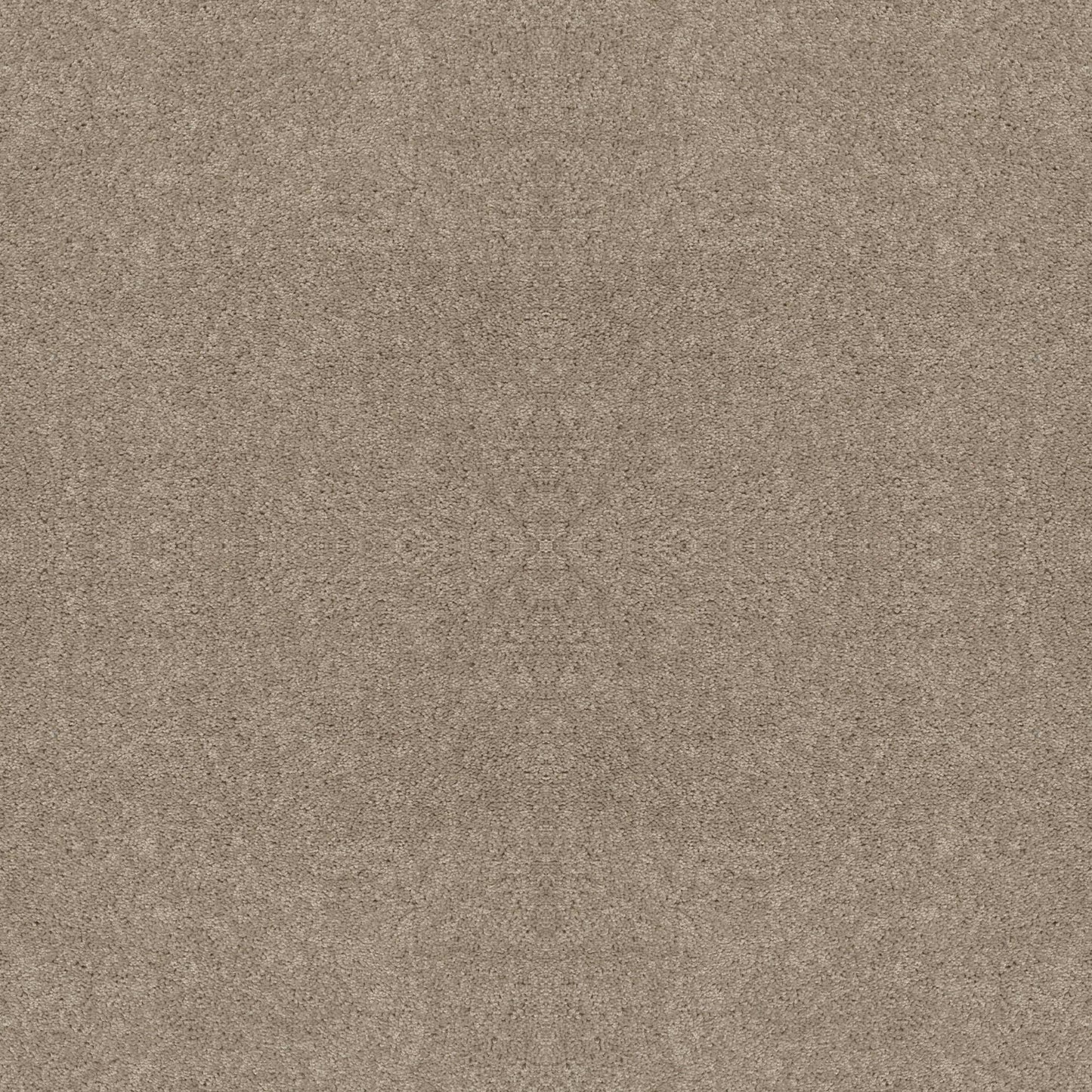 FULL COURT 12' in Bare Mineral Carpet