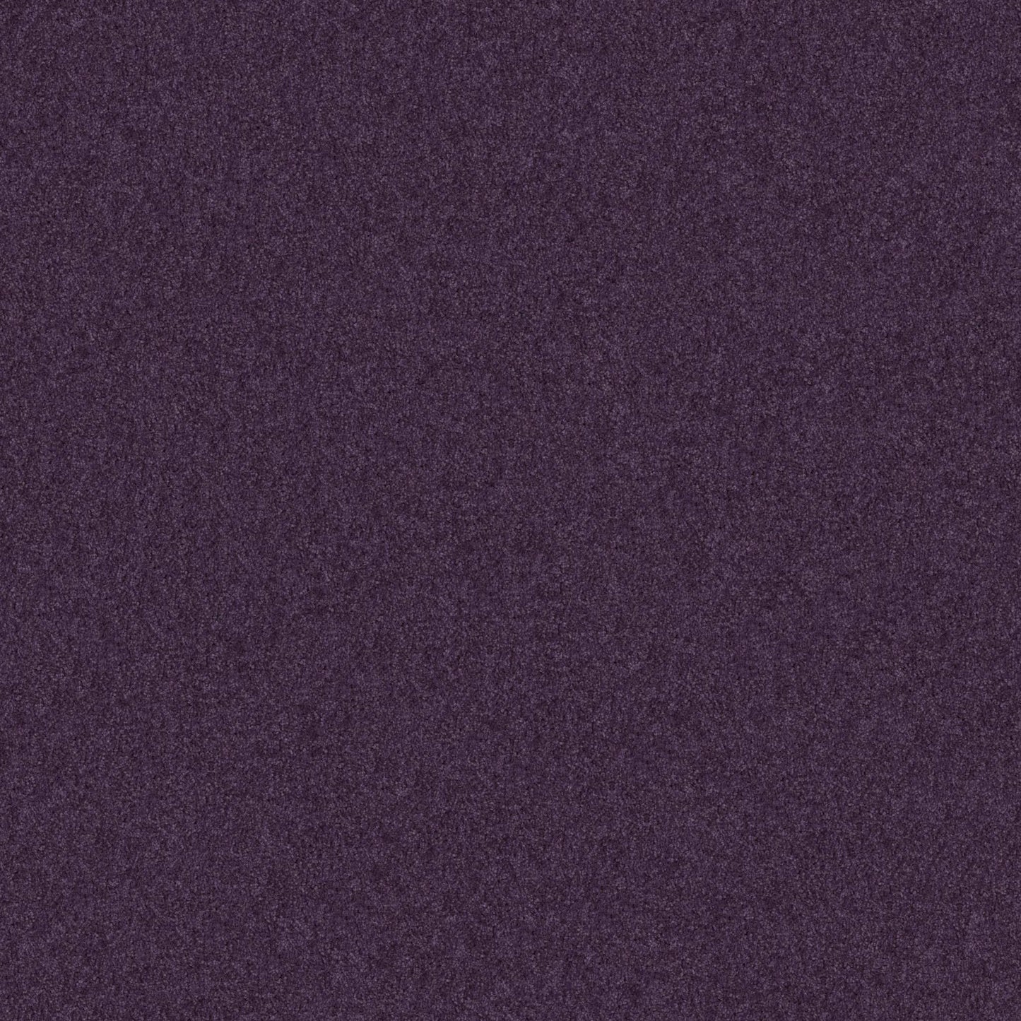 FULL COURT 12'