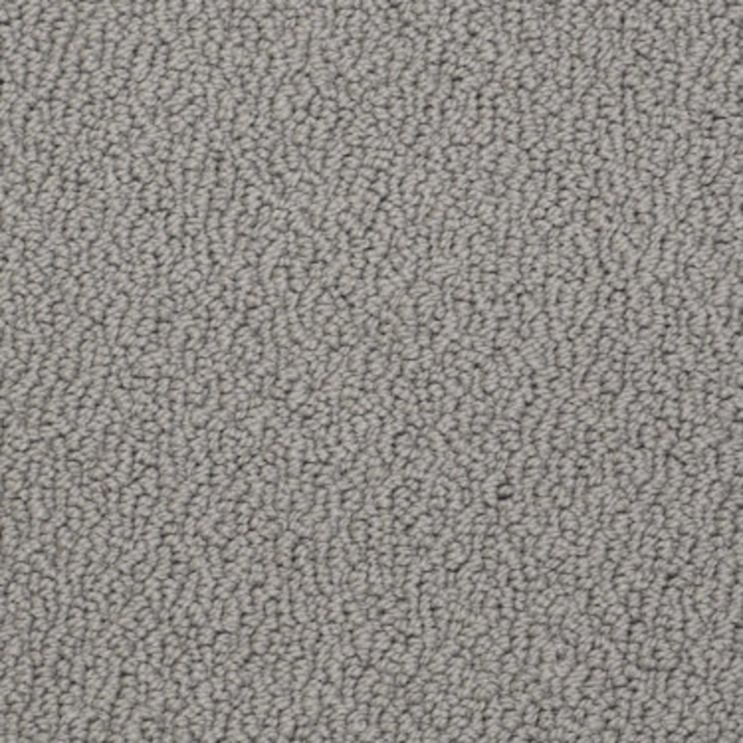 Traditional Elegance in Antique Pewter Carpet