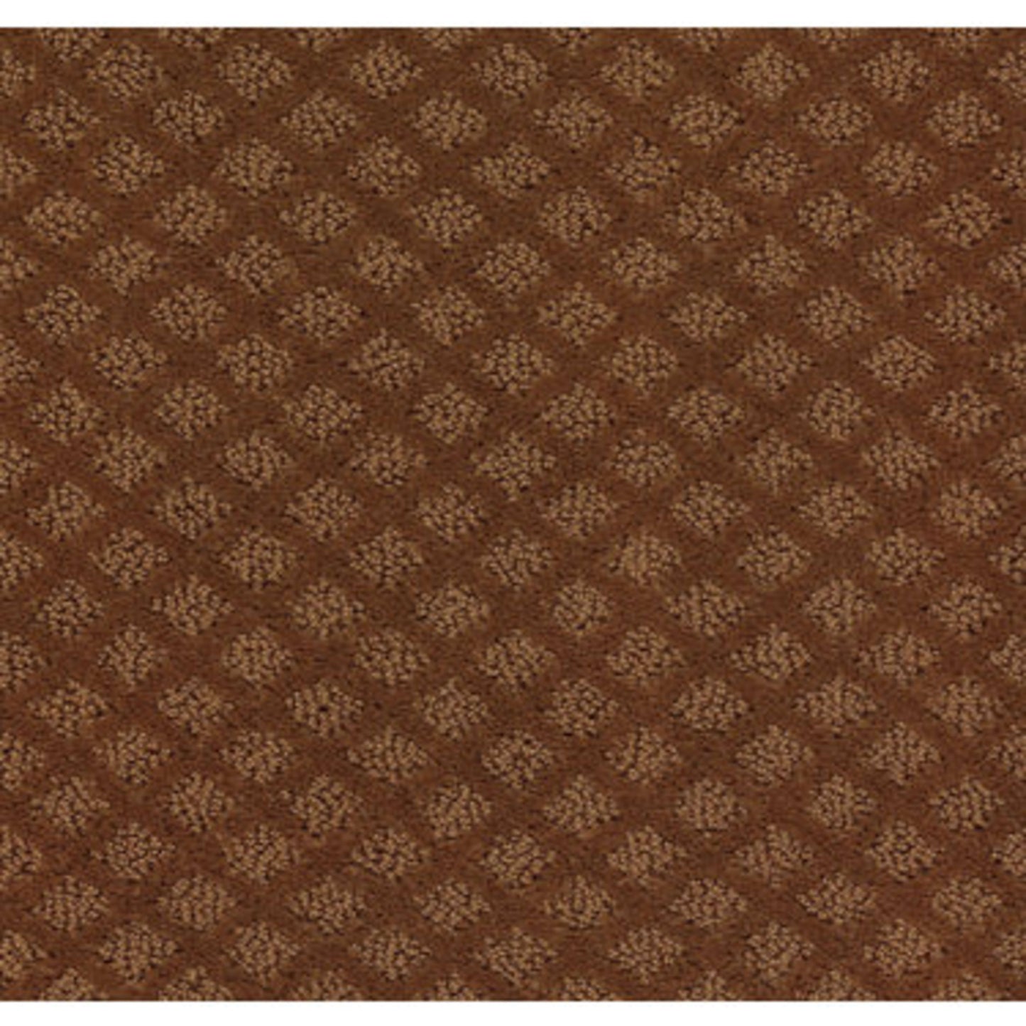Padova in Pottery Carpet