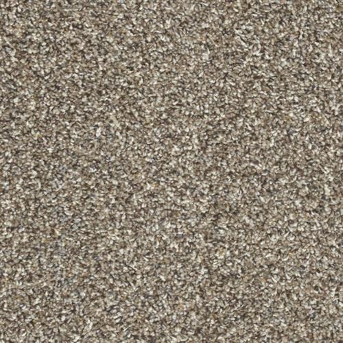 Toast of the Town in Marble Heights Carpet