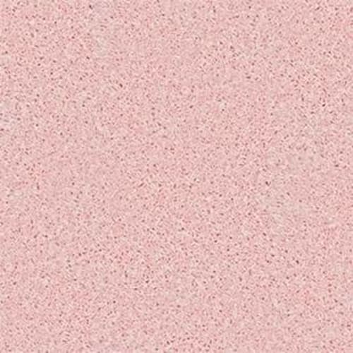 Kid's Club in Pink Flamingo