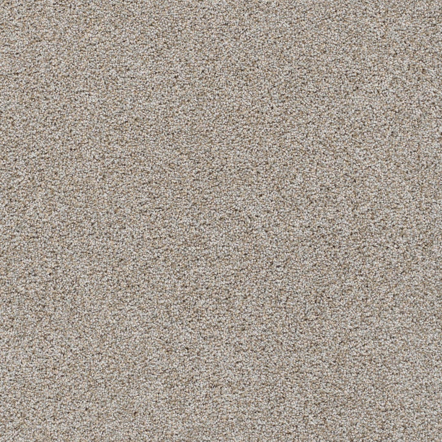 Reflections I in Iron Frost Carpet