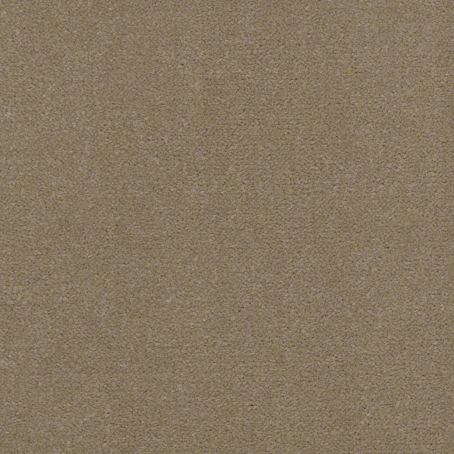 Emphatic II 36