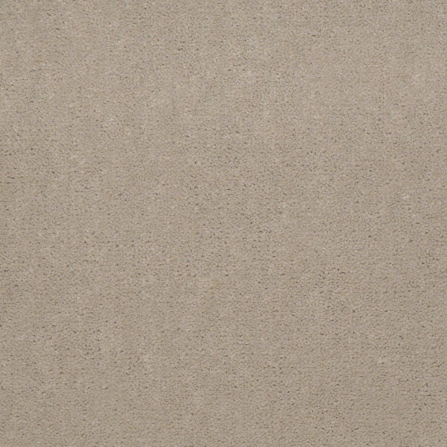 Emphatic II 36
