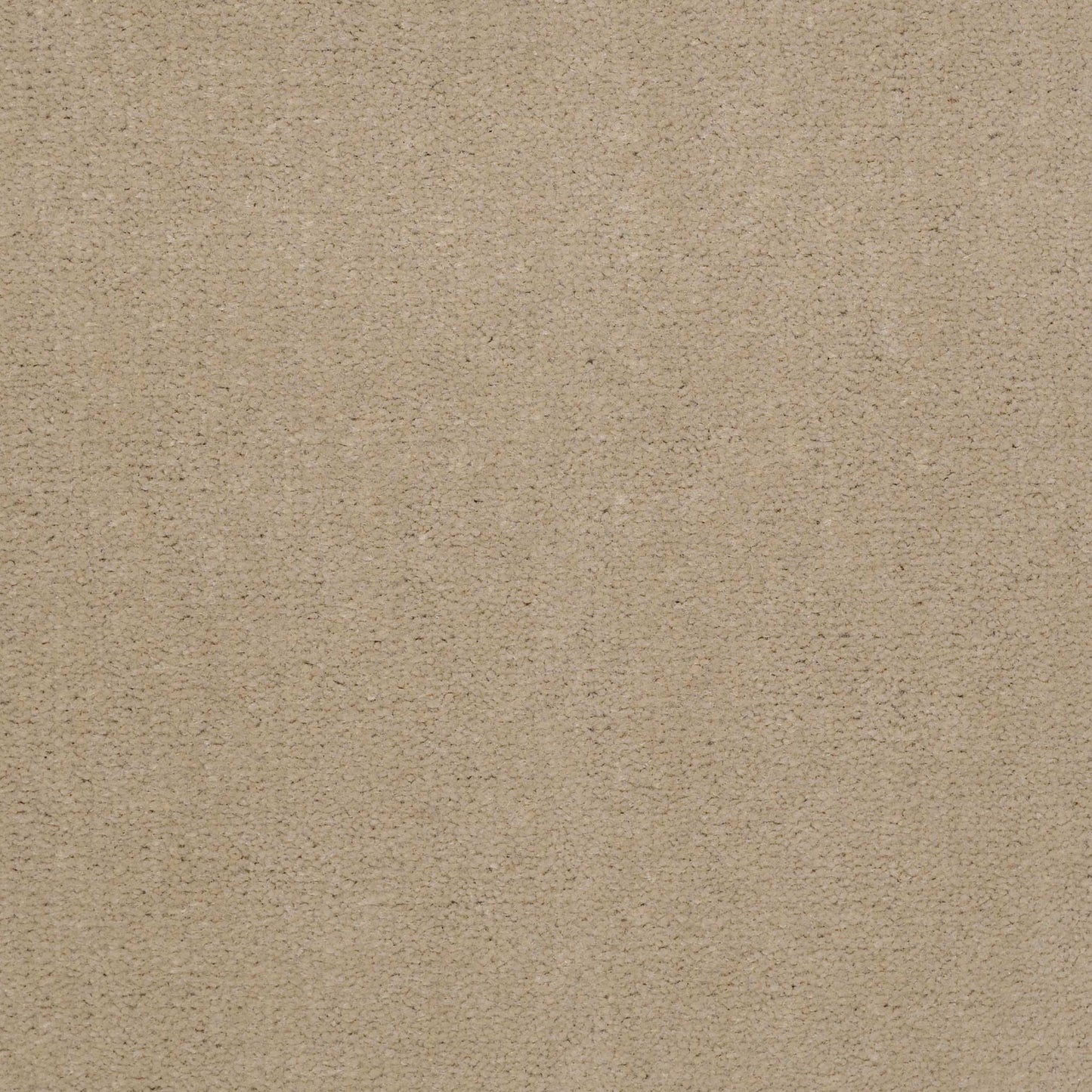Emphatic II 36