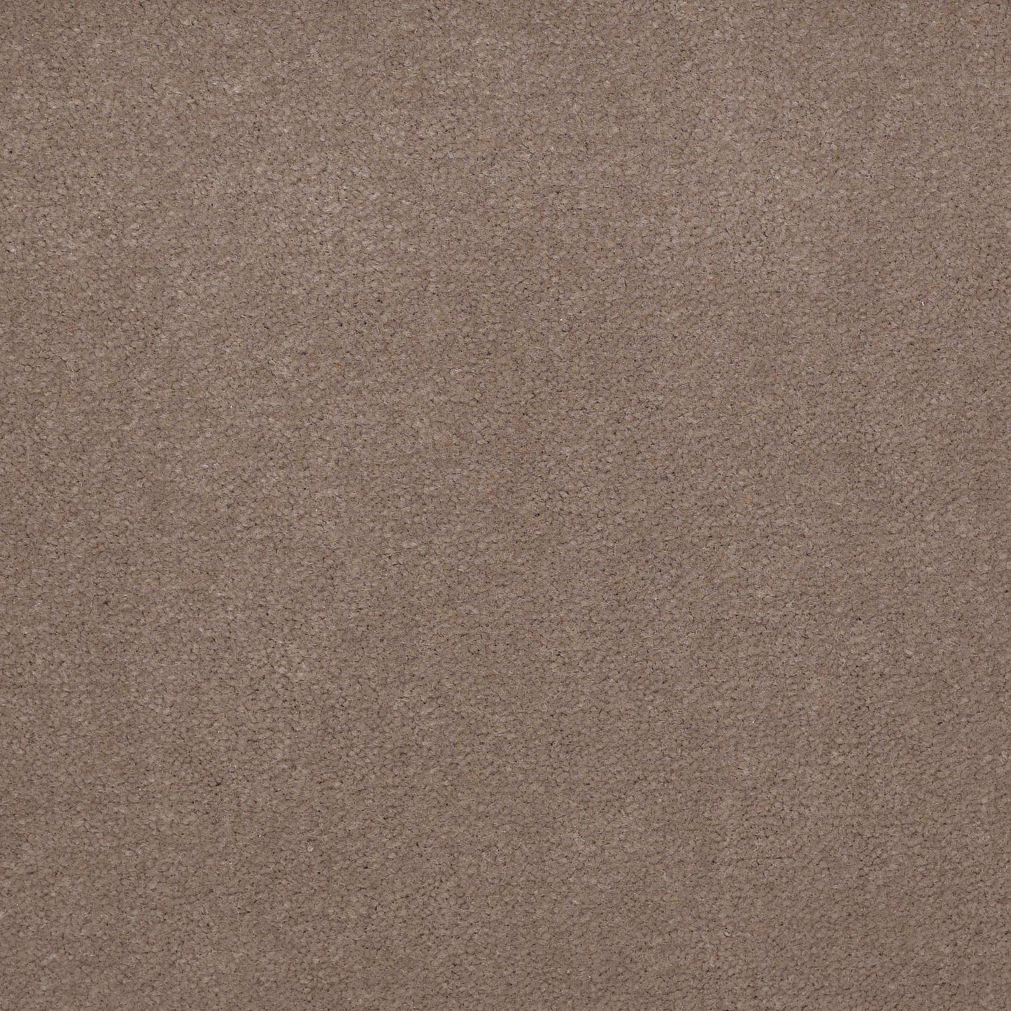 Emphatic II 36
