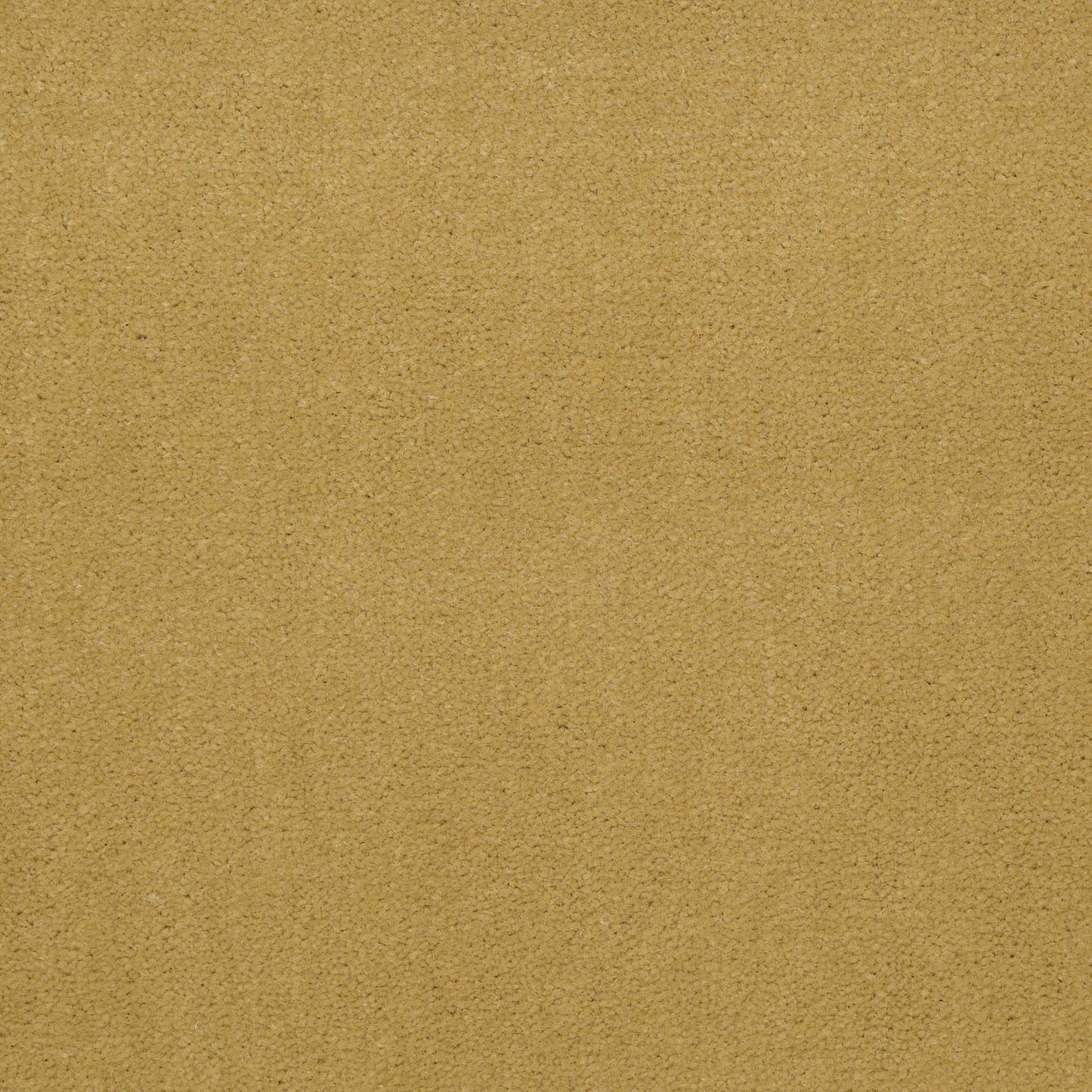 Emphatic II 36