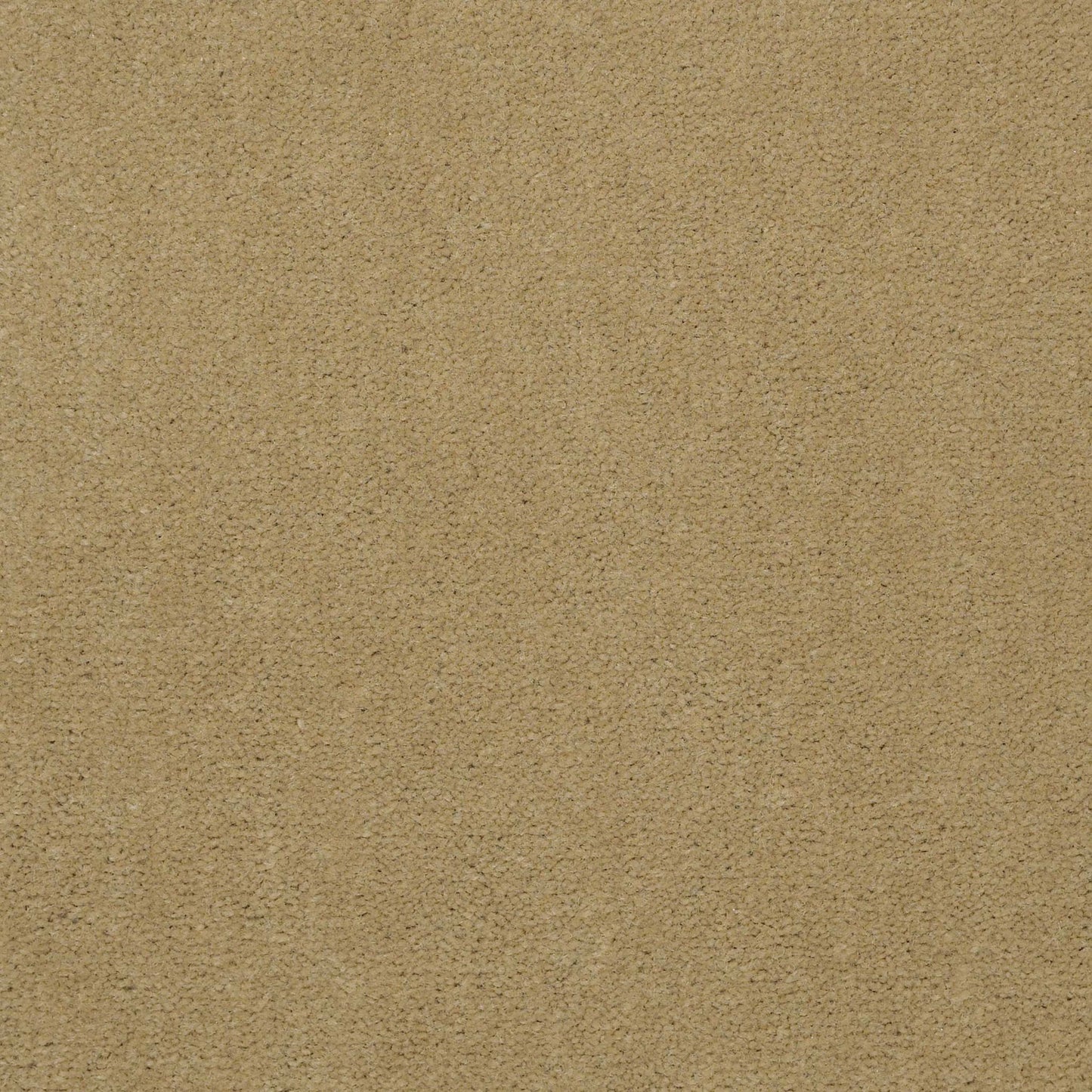 Emphatic II 36