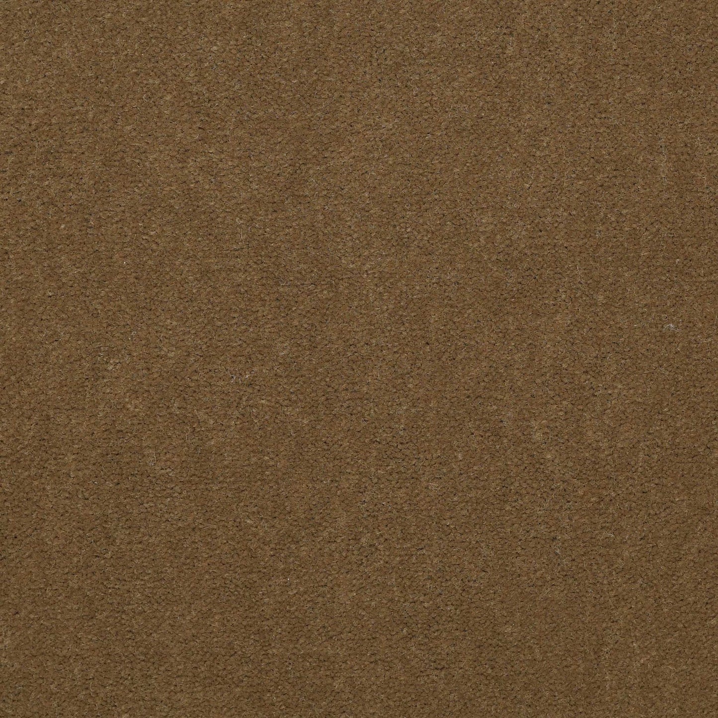 Emphatic II 36